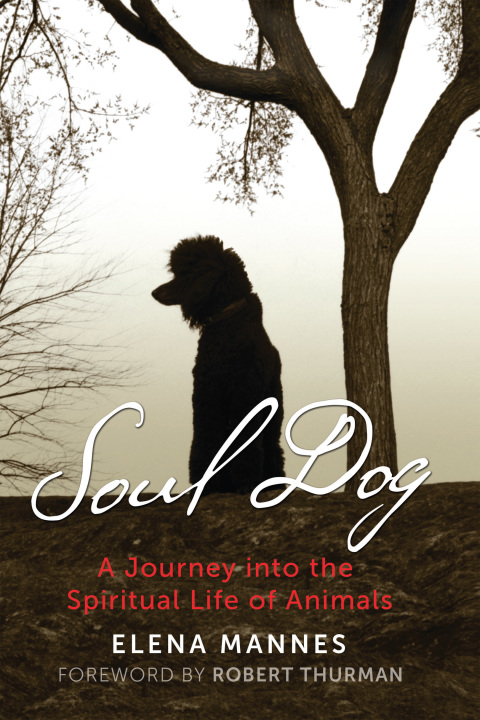 Cover image for book Soul Dog