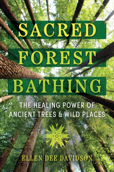 Cover image for book Sacred Forest Bathing