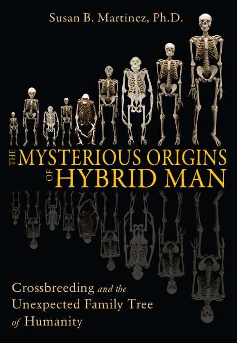 Cover image for book The Mysterious Origins of Hybrid Man