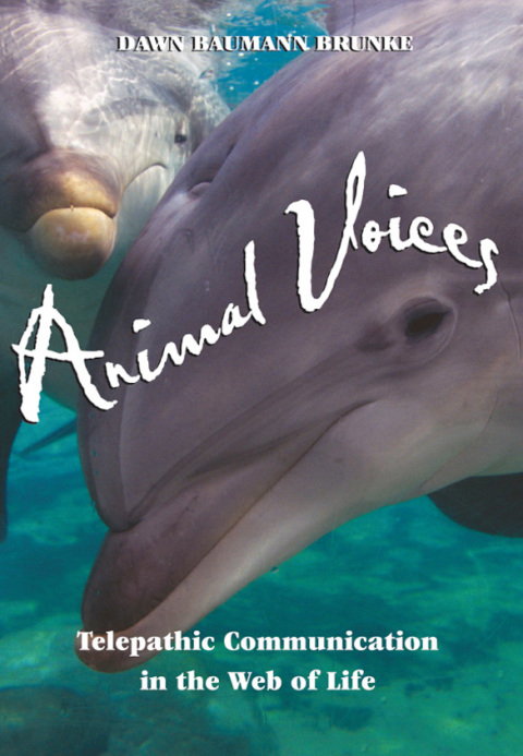 Cover image for book Animal Voices