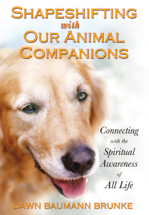 Cover image for book Shapeshifting with Our Animal Companions