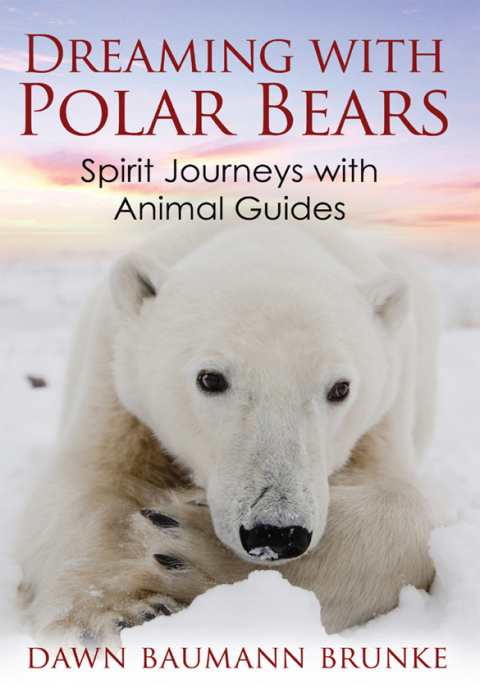 Cover image for book Dreaming with Polar Bears