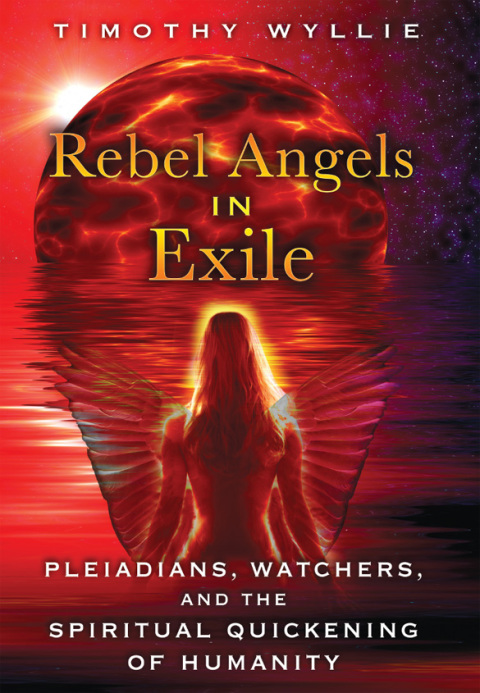 Cover image for book Rebel Angels in Exile