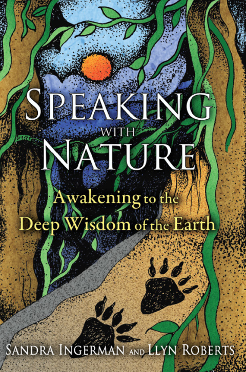 Cover image for book Speaking with Nature