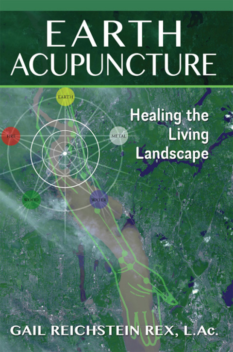 Cover image for book Earth Acupuncture