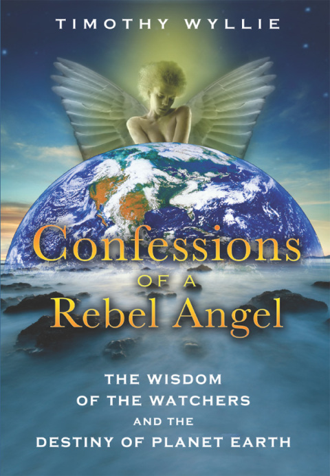 Cover image for book Confessions of a Rebel Angel