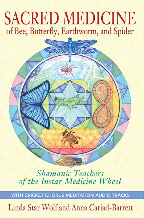 Cover image for book Sacred Medicine of Bee, Butterfly, Earthworm, and Spider