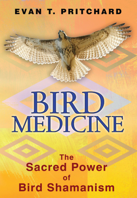 Cover image for book Bird Medicine