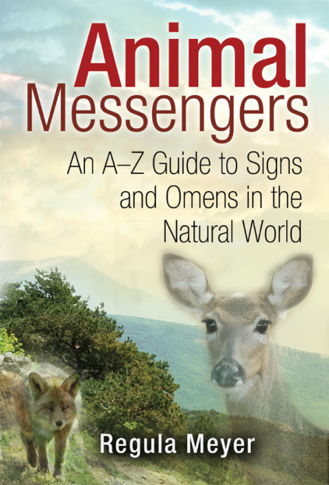 Cover image for book Animal Messengers