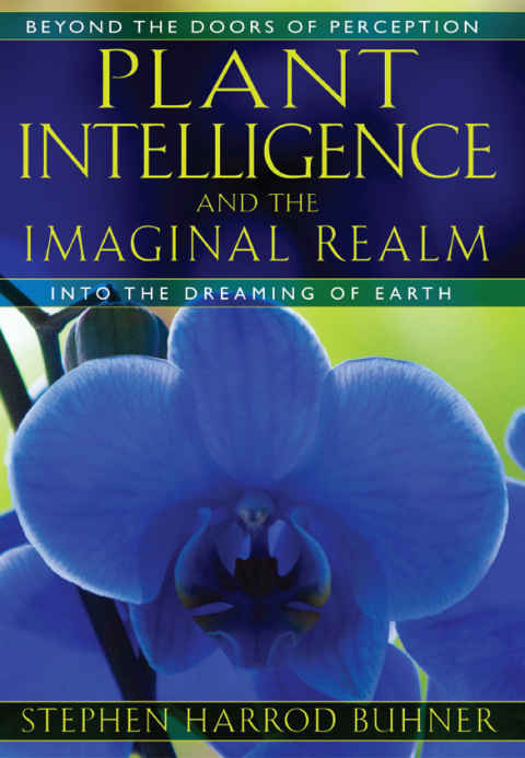 Cover image for book Plant Intelligence and the Imaginal Realm