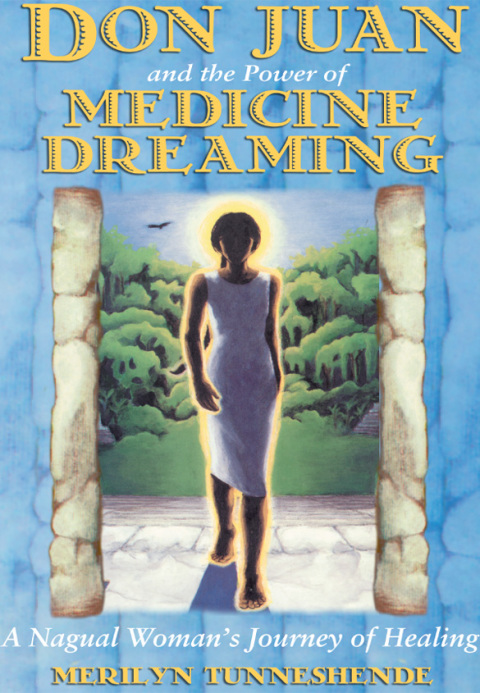 Cover image for book Don Juan and the Power of Medicine Dreaming