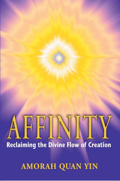 Cover image for book Affinity
