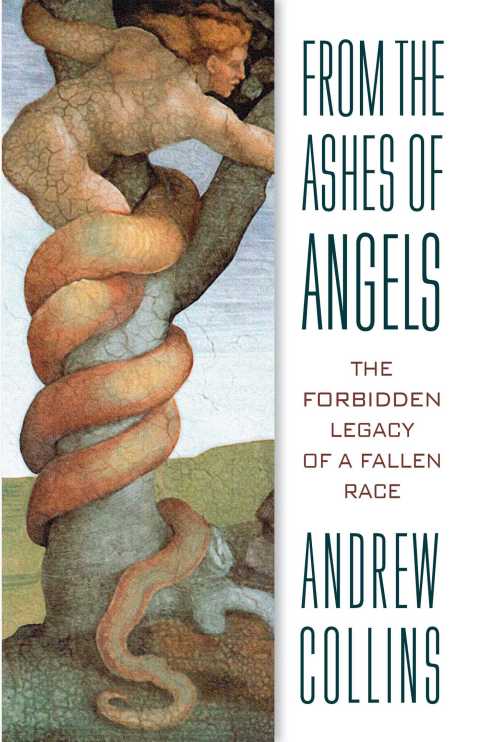 Cover image for book From the Ashes of Angels