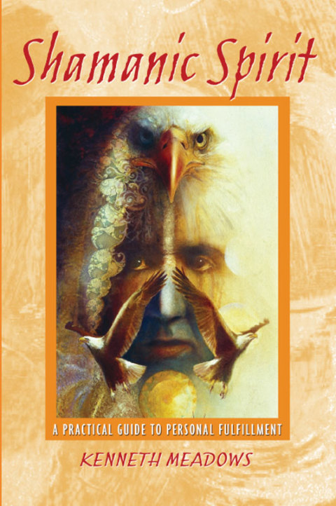 Cover image for book Shamanic Spirit