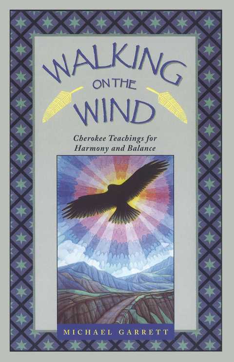 Cover image for book Walking on the Wind