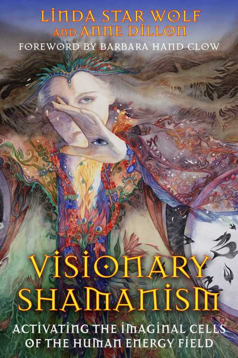 Cover image for book Visionary Shamanism