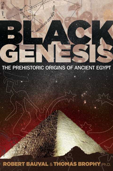 Cover image for book Black Genesis
