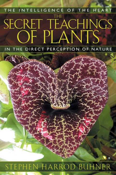 Cover image for book The Secret Teachings of Plants