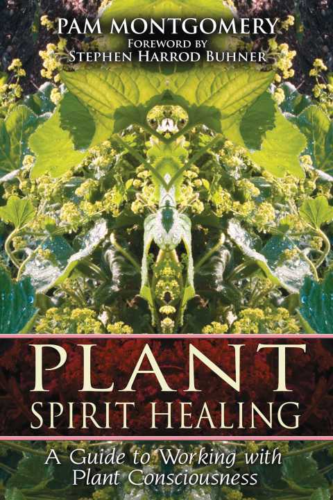 Cover image for book Plant Spirit Healing