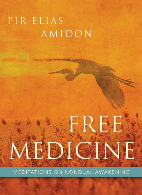 Cover image for book Free Medicine