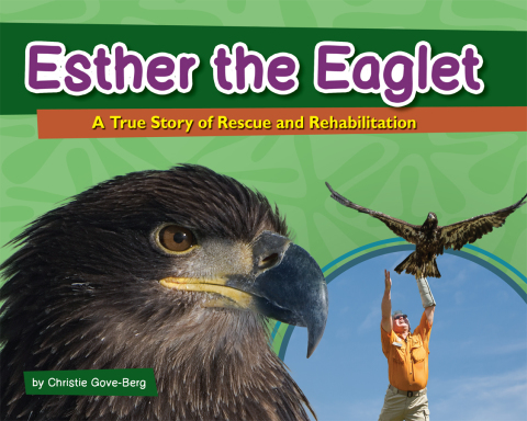 Cover image for book Esther the Eaglet