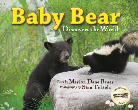 Cover image for book Baby Bear Discovers the World