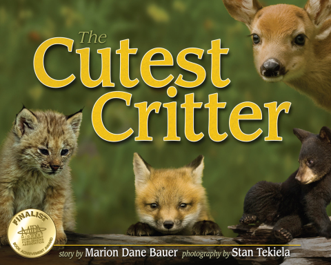 Cover image for book Cutest Critter