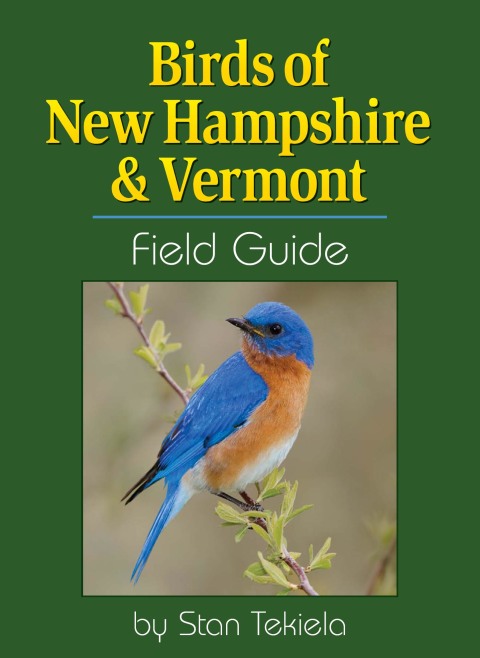 Cover image for book Birds of New Hampshire & Vermont Field Guide