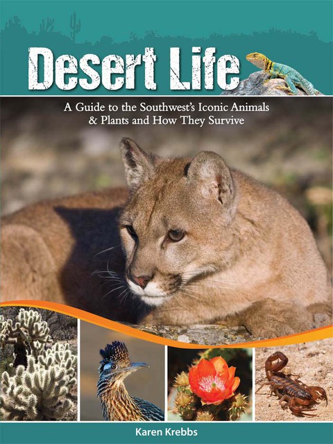Cover image for book Desert Life