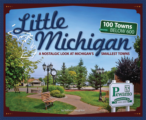 Cover image for book Little Michigan