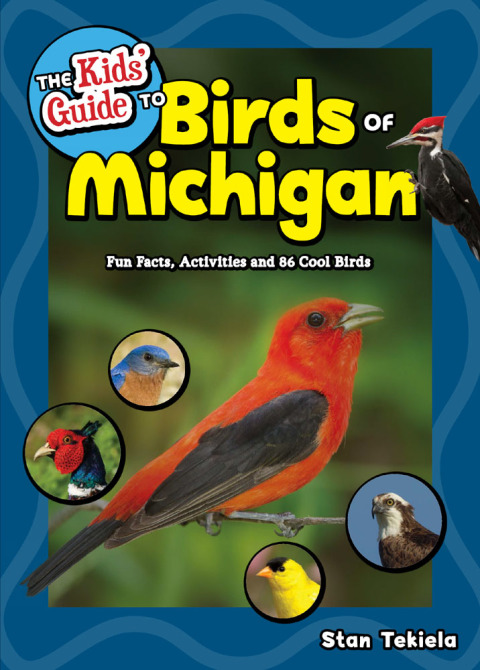 Cover image for book The Kids' Guide to Birds of Michigan