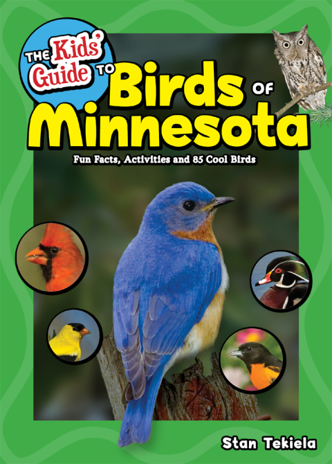 Cover image for book The Kids' Guide to Birds of Minnesota