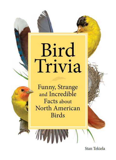 Cover image for book Bird Trivia