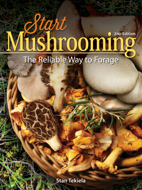 Cover image for book Start Mushrooming