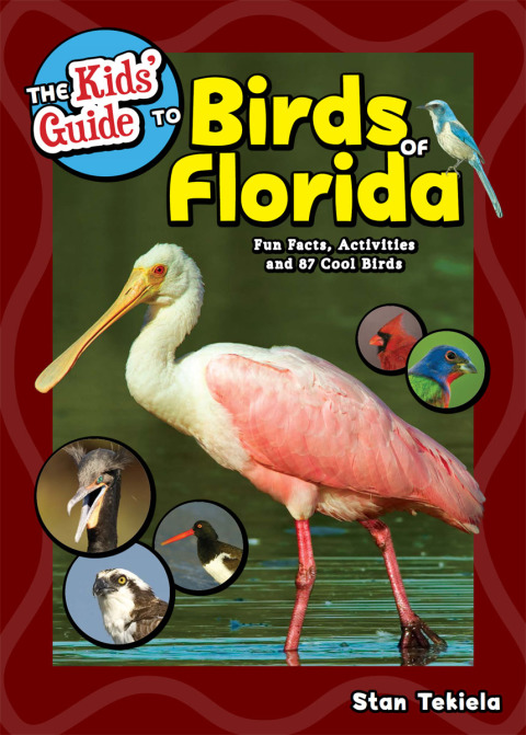 Cover image for book The Kids' Guide to Birds of Florida