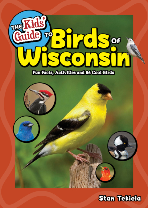 Cover image for book The Kids' Guide to Birds of Wisconsin