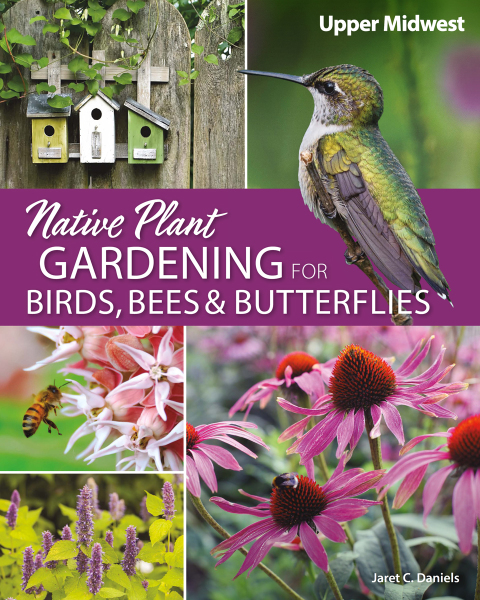Cover image for book Native Plant Gardening for Birds, Bees & Butterflies: Upper Midwest