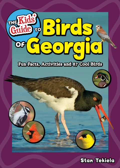 Cover image for book The Kids' Guide to Birds of Georgia