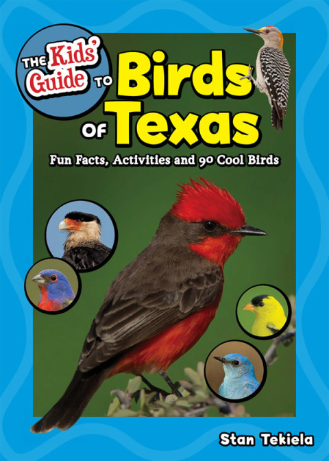 Cover image for book The Kids' Guide to Birds of Texas
