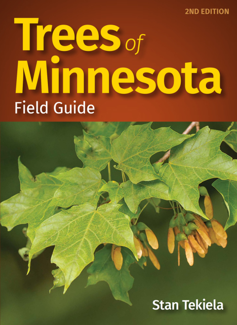 Cover image for book Trees of Minnesota Field Guide