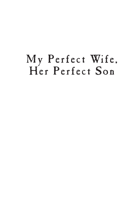 Cover image for book My Perfect Wife, Her Perfect Son