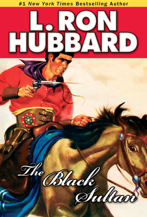Cover image for book The Black Sultan