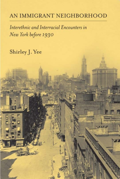 Cover image for book An Immigrant Neighborhood