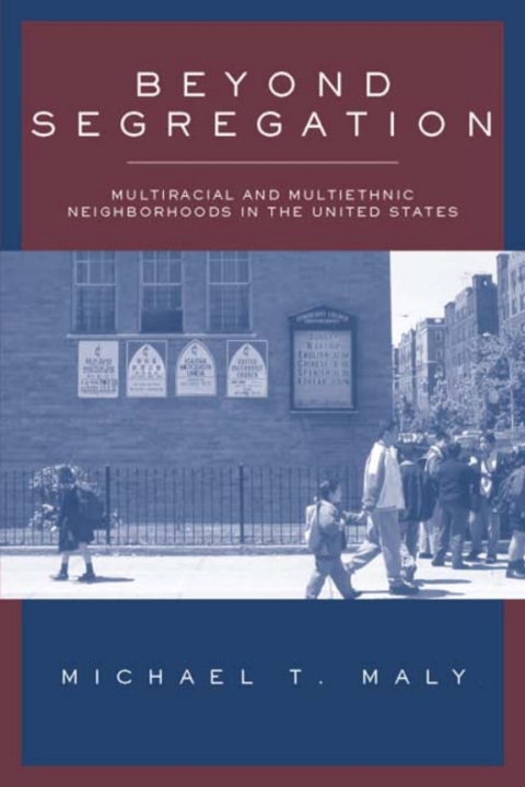 Cover image for book Beyond Segregation