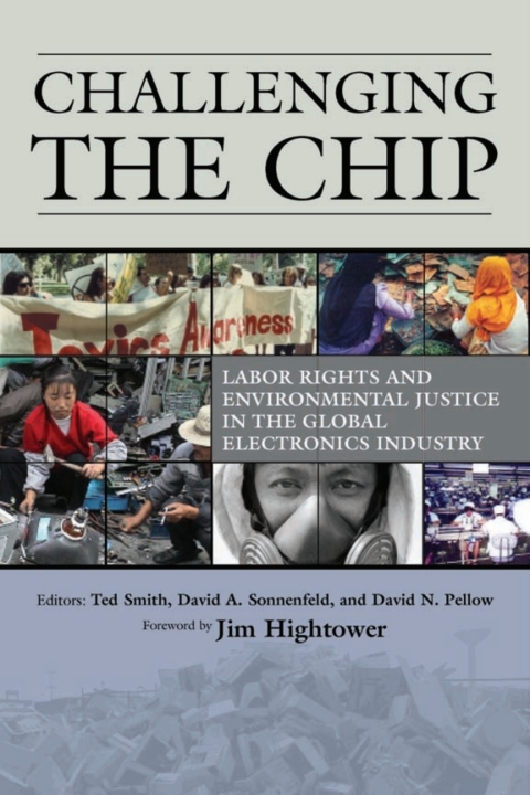 Cover image for book Challenging the Chip