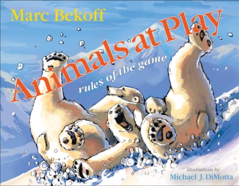 Cover image for book Animals at Play