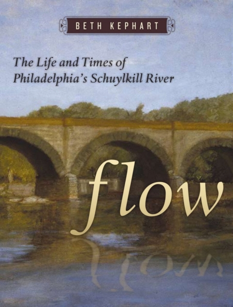 Cover image for book Flow