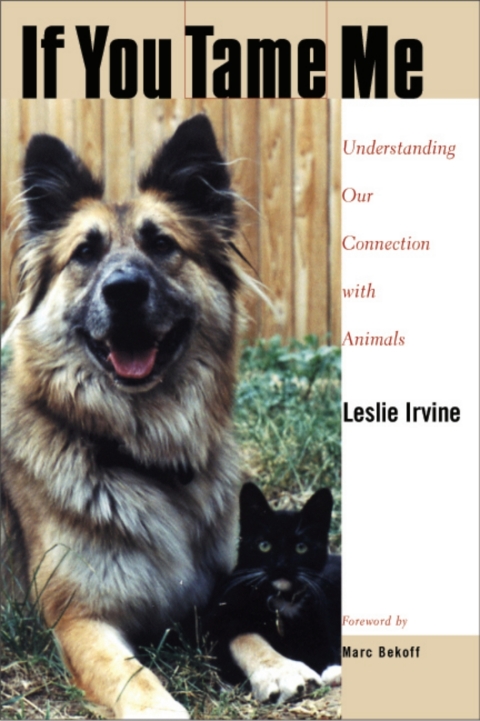Cover image for book If You Tame Me