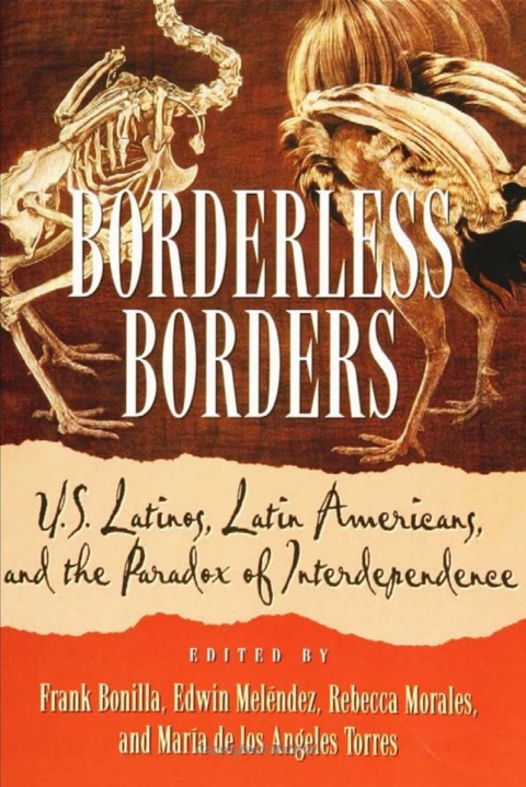 Cover image for book Borderless Borders