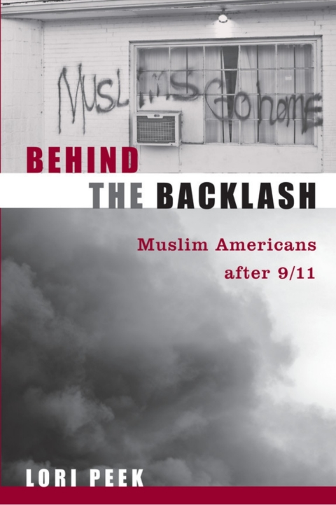 Cover image for book Behind the Backlash